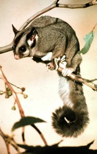 Maryanne Wolf Knows Her Proust and Her P.O.S.S.U.M.